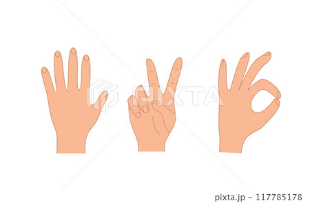 Hand gestures, vector illustration set of icons of various hand signs. Hand gestures, vector illustration set of icons of various hand signs. 117785178
