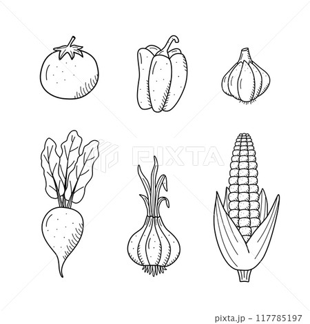 Collection of drawing vegetables in doodle style. A set of vector illustrations of the vegetable harvest 117785197