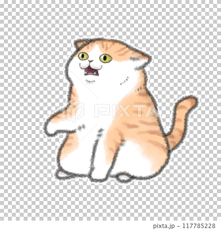 弗萊門反應貓 117785228