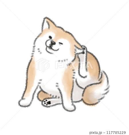 耳をかく犬 耳をかく犬 117785229