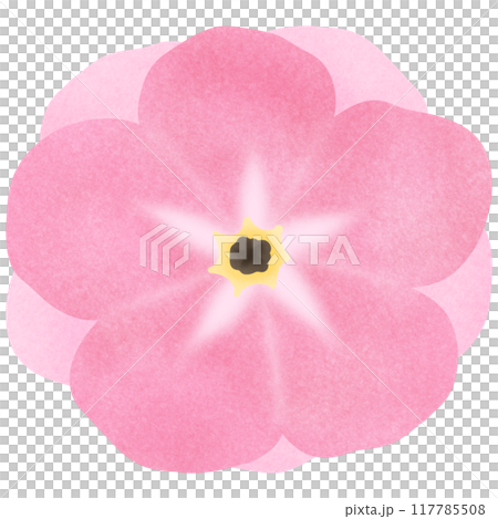 Cute Flower hand draw In Flat Design spring beautiful flowers set of flower illustration Pink flower 117785508