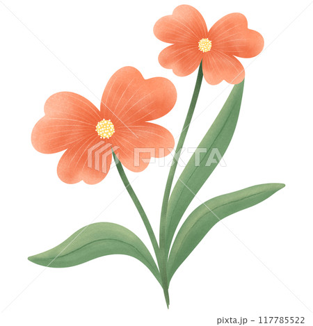 Cute Flower hand draw In Flat Design spring beautiful flowers set of flower illustration orange color flower 117785522