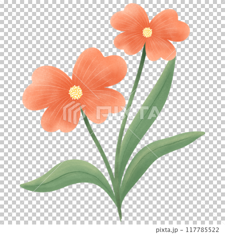 Cute Flower hand draw In Flat Design spring beautiful flowers set of flower illustration orange color flower 117785522