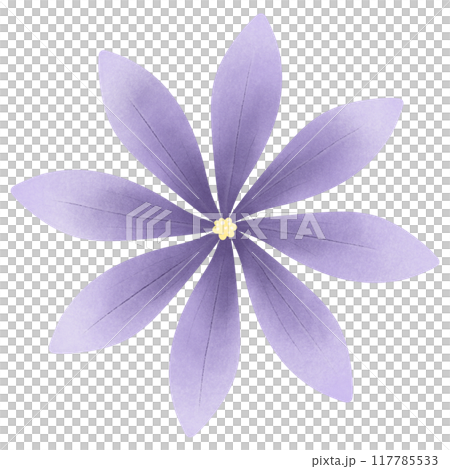 Cute Flower hand draw In Flat Design spring beautiful flowers set of flower illustration purple flower Cute Flower hand draw In Flat Design spring beautiful flowers set of flower illustration purple flower 117785533
