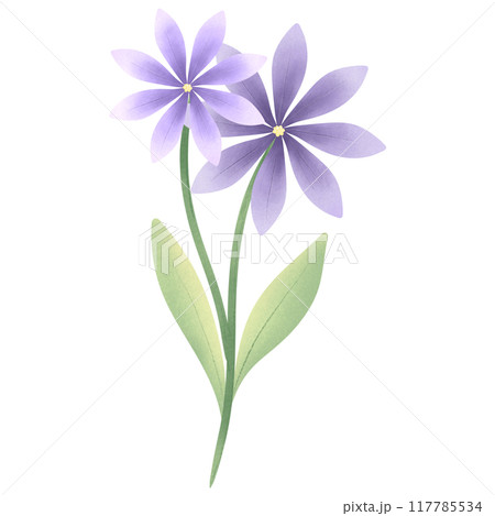 Cute Flower hand draw In Flat Design spring beautiful flowers set of flower illustration purple flower 117785534