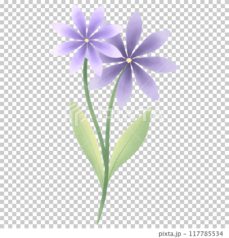 Cute Flower hand draw In Flat Design spring beautiful flowers set of flower illustration purple flower Cute Flower hand draw In Flat Design spring beautiful flowers set of flower illustration purple flower 117785534