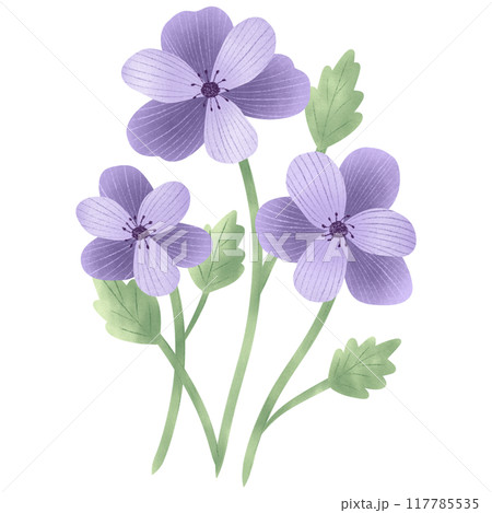 Cute Flower hand draw In Flat Design spring beautiful flowers set of flower illustration purple flower 117785535