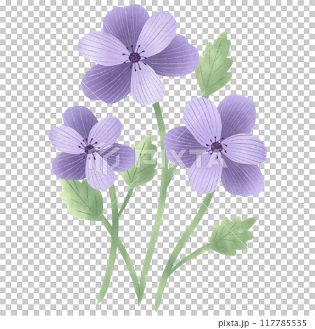 Cute Flower hand draw In Flat Design spring beautiful flowers set of flower illustration purple flower Cute Flower hand draw In Flat Design spring beautiful flowers set of flower illustration purple flower 117785535