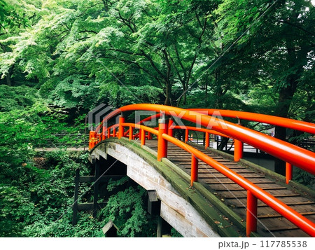 伊香保温泉の散歩道　赤い橋と映える緑 117785538