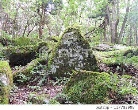 五百羅漢 遠野市 五百羅漢 遠野市 117785999