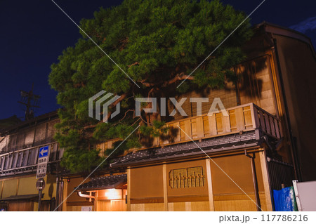 [京都]花見小路の一角にある日本家屋と松の木の風景 117786216