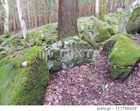 五百羅漢 遠野市 五百羅漢 遠野市 117786429