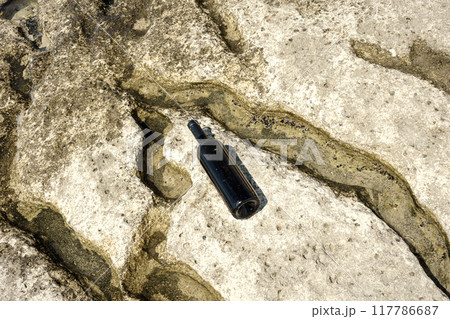 Bottle of wine on the shore. Bottle of wine on the shore. 117786687