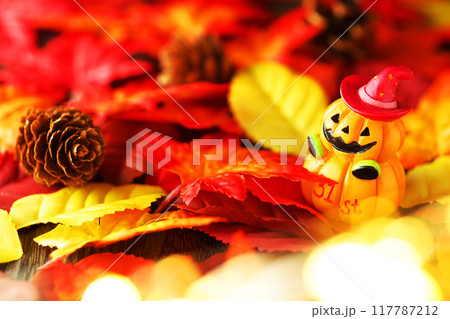 ハロウィン・イメージ 117787212