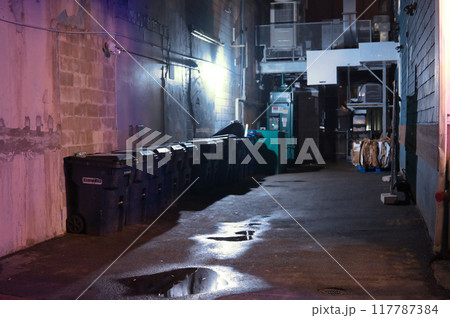 雨あがりの夜のアメリカの路地裏 117787384