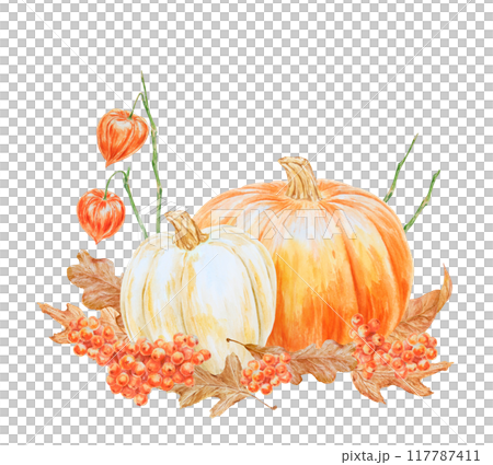 White and orange pumpkins, rowan berries, physalis, dry brown leaves illustration. Hand drawn watercolor isolated clip art with fall vegetables and plants for banner template, halloween print, packing 117787411