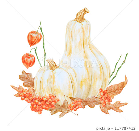White pumpkins, rowan berries, physalis, dry brown leaves illustration. Hand drawn watercolor isolated clip art with fall vegetables and plants for banner template, halloween print, farm goods packing White pumpkins, rowan berries, physalis, dry brown leaves illustration. Hand drawn watercolor isolated clip art with fall vegetables and plants for banner template, halloween print, farm goods packing 117787412