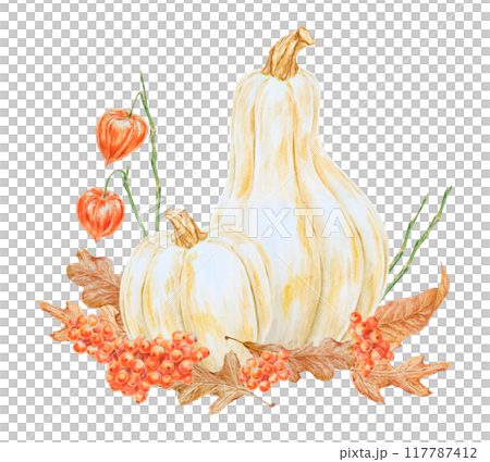 White pumpkins, rowan berries, physalis, dry brown leaves illustration. Hand drawn watercolor isolated clip art with fall vegetables and plants for banner template, halloween print, farm goods packing 117787412