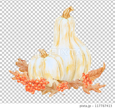 White pumpkins, rowan berries, dry brown leaves illustration. Hand drawn watercolor isolated clip art with fall vegetables and plants for banner template, halloween prints, farm goods packing 117787413