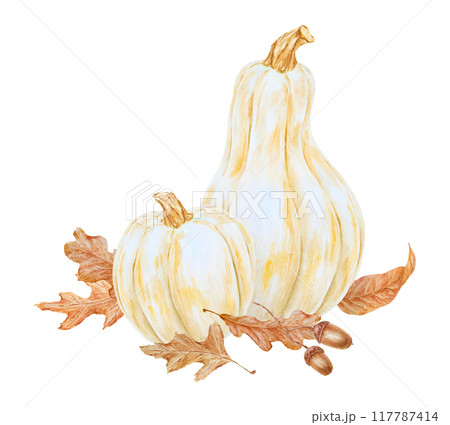 White pumpkins, acorn, dry brown leaves illustration. Hand drawn watercolor isolated clip art with fall vegetables and plants for banner template, halloween prints, farm goods packing White pumpkins, acorn, dry brown leaves illustration. Hand drawn watercolor isolated clip art with fall vegetables and plants for banner template, halloween prints, farm goods packing 117787414