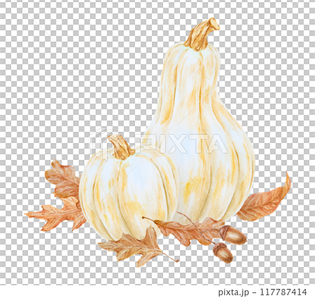 White pumpkins, acorn, dry brown leaves illustration. Hand drawn watercolor isolated clip art with fall vegetables and plants for banner template, halloween prints, farm goods packing White pumpkins, acorn, dry brown leaves illustration. Hand drawn watercolor isolated clip art with fall vegetables and plants for banner template, halloween prints, farm goods packing 117787414
