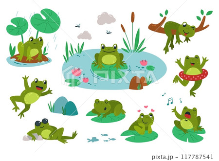 Cartoon frog. Green frogs on pond or swamp. Toads in love, sleeping singing swimming. Happy cute childish mascots, amphibian classy vector characters 117787541