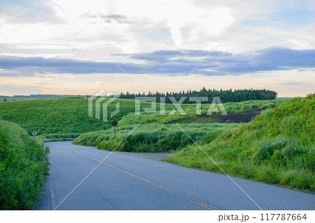 夕暮れ時の道　阿蘇の大自然 117787664