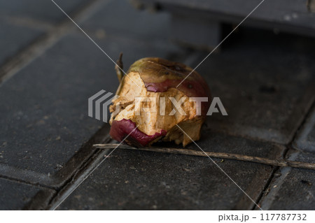 A half-eaten apple is lying on the sidewalk tile. Apple core 117787732