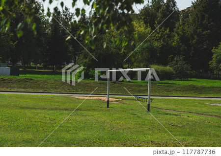 The school stadium. Football gates. There is green grass 117787736