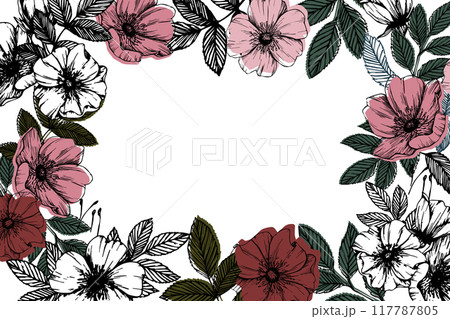 Vector rosehip flowers frame in various shades of pink with green leaves for botanical art, floral designs, or natural-themed products. Elegant, detailed, and hand-drawn style template 117787805