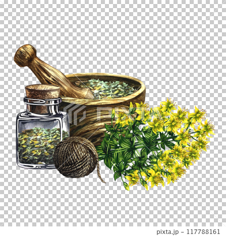 Dried, crushed medicinal herb of St. John's wort perforated in a wooden mortar. A medicinal bottle and a bouquet of St. John's wort. Handmade watercolor illustration. Medicinal herbs. For packaging. 117788161