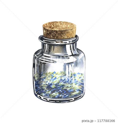 Vintage glass bottle with dried herbs. The illustration is watercolor, hand-drawn. Healthy tea, spices or medicinal herbs. For packaging, label, menu or recipe design. Vintage glass bottle with dried herbs. The illustration is watercolor, hand-drawn. Healthy tea, spices or medicinal herbs. For packaging, label, menu or recipe design. 117788166