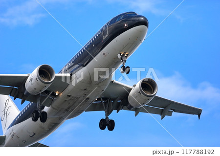 旅客機の離着陸　イメージ 117788192
