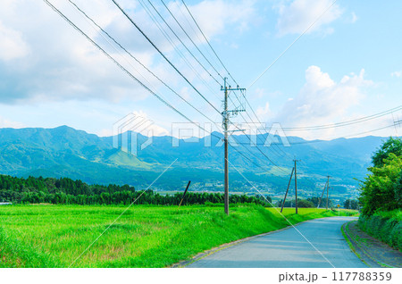 田舎イメージ　阿蘇の田舎風景  117788359