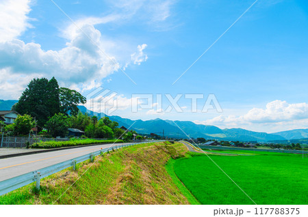 田舎イメージ　阿蘇の田舎風景  117788375