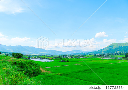 田舎イメージ　阿蘇の田舎風景  117788384