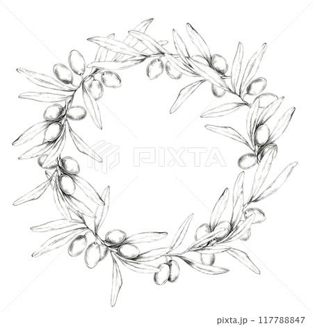 Circular wreath of olive branches with detailed olives and leaves, creating a natural frame. Pencil drawing clipart for use in product packaging for olive oils, artisanal soaps, and organic cosmetics Circular wreath of olive branches with detailed olives and leaves, creating a natural frame. Pencil drawing clipart for use in product packaging for olive oils, artisanal soaps, and organic cosmetics 117788847