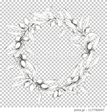 Circular wreath of olive branches with detailed olives and leaves, creating a natural frame. Pencil drawing clipart for use in product packaging for olive oils, artisanal soaps, and organic cosmetics 117788847