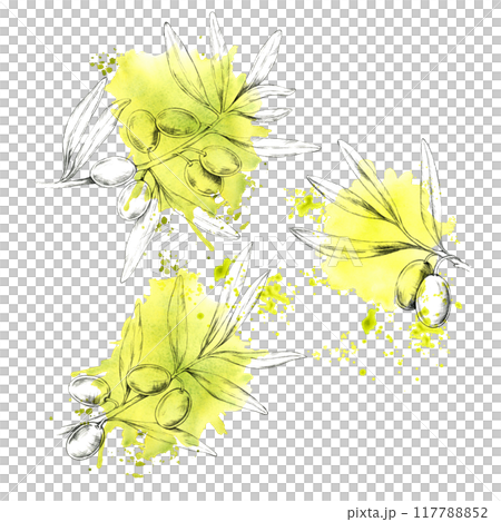 Set of olive branches accented with light yellow watercolor splashes, showcasing olives and leaves. Pencil drawing clipart for use in packaging for olive oils, luxury soaps, and organic cosmetic lines 117788852