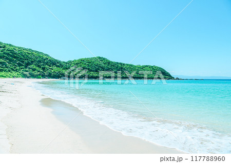 種子島の綺麗な青い海 117788960