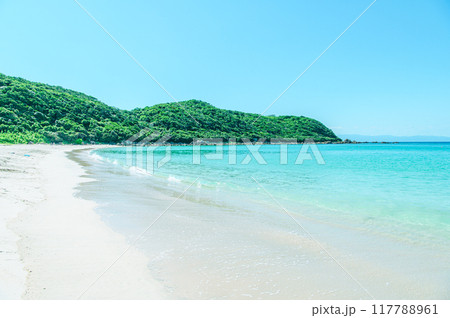 種子島の綺麗な青い海 117788961