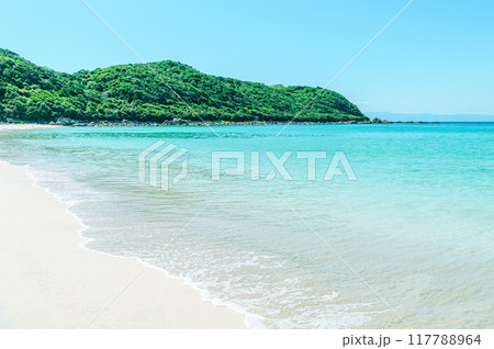 種子島の綺麗な青い海 117788964