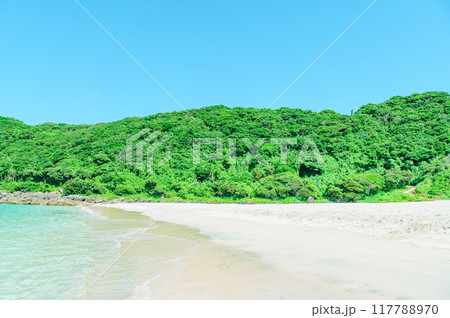 種子島の綺麗な青い海 種子島の綺麗な青い海 117788970