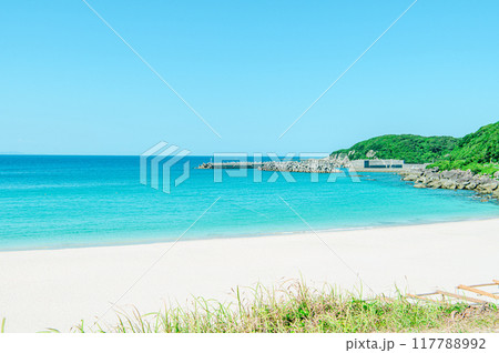 種子島の綺麗な青い海 117788992