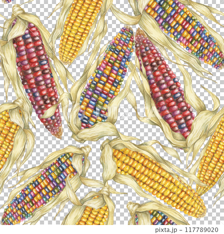 Yellow and indian corn dense seamless pattern, rainbow maize textile, background. Watercolor botanical print design for clothes, wallpaper, wrapping paper, scrapbooking, food packaging, Thanksgiving 117789020