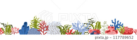Seaweed and corals vector illustration set 117789652