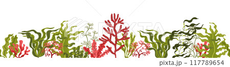 Red and green seaweed. Seamless border at the bottom. 117789654