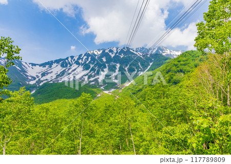 初夏の立山黒部アルペンルート 新緑の黒部平 初夏の立山黒部アルペンルート 新緑の黒部平 117789809