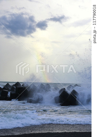 台風の波 117790018