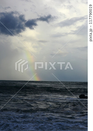 台風の波 117790019